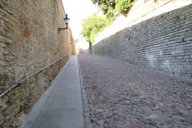 「長い足通り」は「長い坂通り」でもあった<br />子供を抱っこしてこれはトライアスロンや