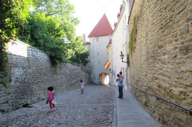 そんなわけでパパお願いしまーす<br />長女と次女は鳩を追いかけながら進んでる<br />…この坂で何かを追いかける余裕があるのがすごいよ