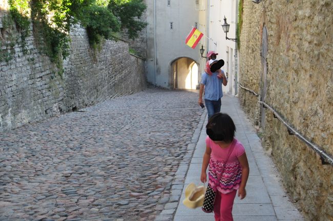 端っこは比較的歩きやすいので端を歩こう