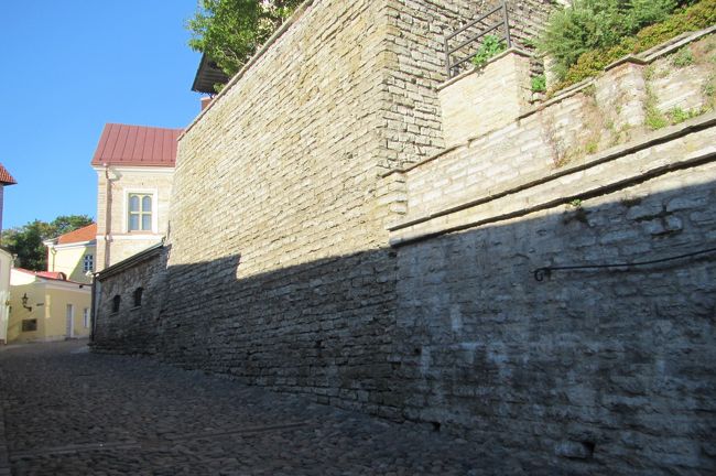 早朝じゃないと道が日陰じゃなく<br />太陽当たって暑いとさらにきついので<br />この展望台は早朝を推奨