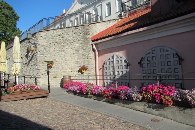 至るところでメルヘンなタリン