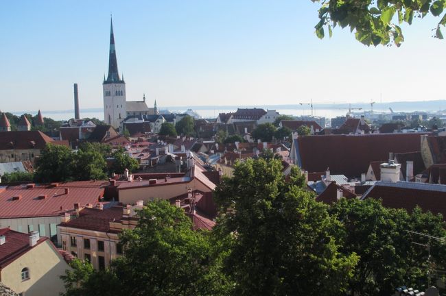 キレイーー♪<br />タリンはここからの景色が一番キレイだった