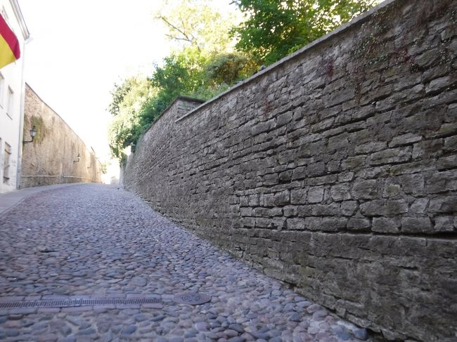 うわーまだ坂道があるよ<br />本当に「長い坂通り」