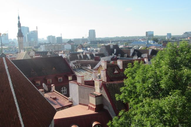 「ここも赤い屋根ばっかりや」と次女<br />バルト三国はみんなそうだったね<br />なんでだろうね<br />赤レンガだからかな？