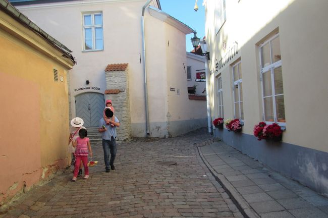 もう１つの展望台へ行くよ