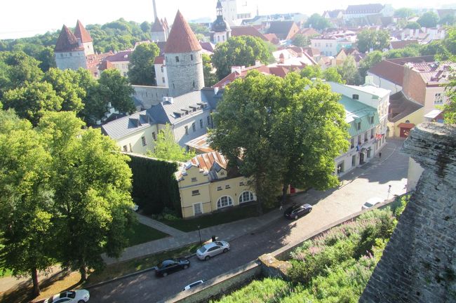 パットクリ展望台