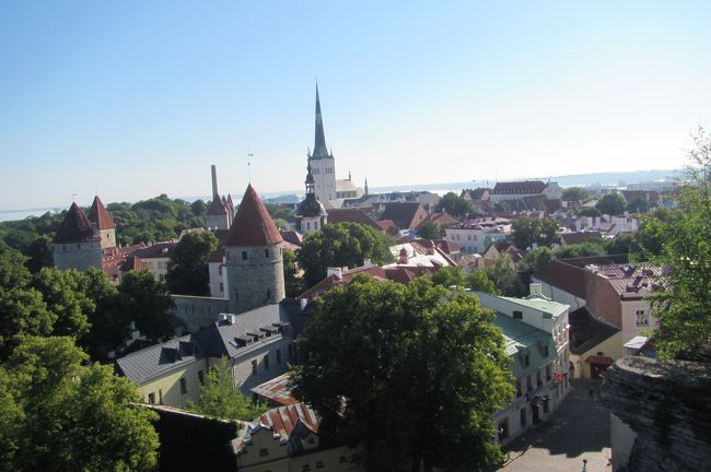 こちらからは木の割合が多く見えます