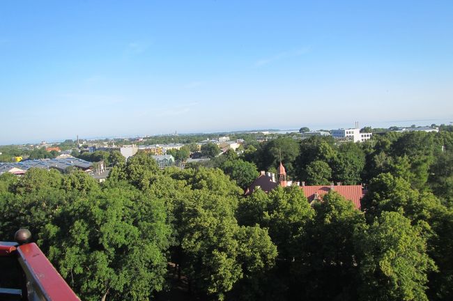 街より森という感じ