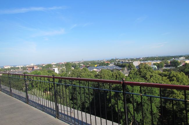 旧市街と反対方向を見るとほぼ木