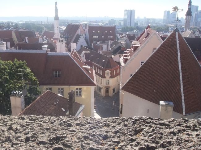 次女の背丈から撮った様子<br />石のフェンスがある。７歳の子がちょうど顔が出るぐらいの高さ