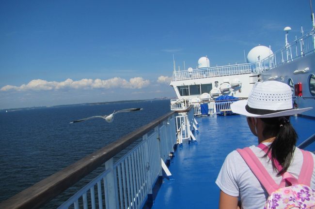 カモメー<br /><br />見るだけにしといてよ<br />ハトみたいに追いかけて落ちないでよ<br /><br />そこまで衝動的ではなかったので良かった