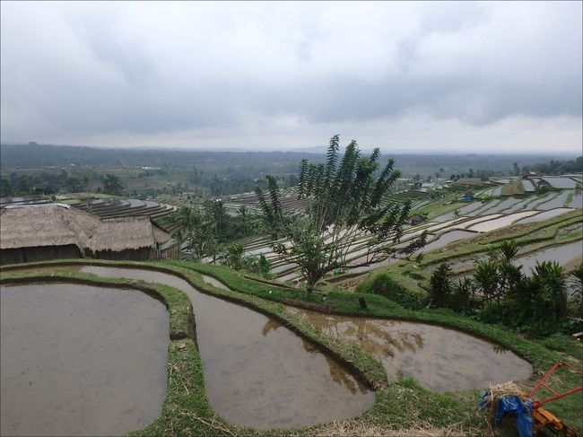 雄大な景色を眺めながら