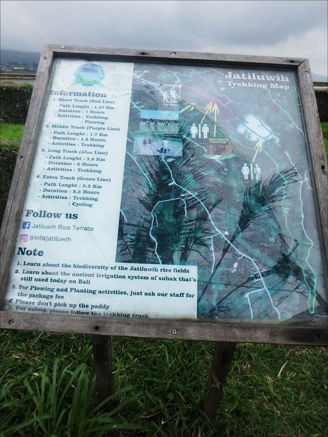 ライステラスのトレッキングコースは４種類。<br /><br />いちばん短い約1.5kmのものから、最長は5.5kmまで。<br /><br />私は体力のないヘタレですので、もちろん最短コースにしました。(^_^;