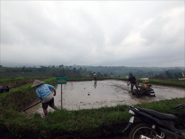 神と自然を敬い<br /><br />絶え間なく脈々と受け継がれてきた人々の知恵と努力が<br /><br />世界遺産にふさわしいと評価されたのですね。