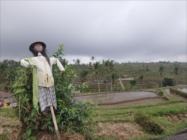 案山子はいろんなところにあるのですが、どれもけっこういい感じにコワイ（笑）