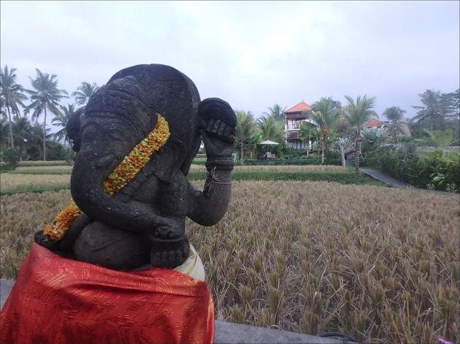 17:50<br /><br />ヴィラへ戻ってきました。<br /><br />ただいまー。