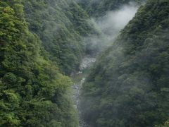 この展望台、メジャーじゃないのか、誰もいません。トンボだけが沢山飛んでいました。
絶景なんですが。
雨が止んで、山からの湯気がモクモクしてて、静かで幻想的…