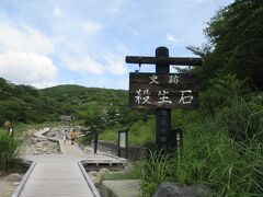 チェックアウトして、帰り道。

那須湯元にある殺生石にやってきました。駐車場は無料です。


木道を歩いていきます。