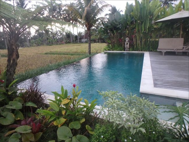 今日はもう陽も落ちかけてしまっているので、<br /><br />プールはあきらめて、また明日にしますかね。