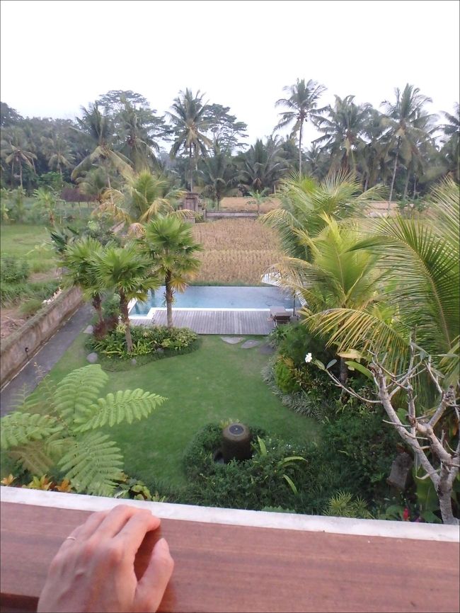 完璧で美しい<br /><br />夢のようなウブドの風景がどこまでも広がります。