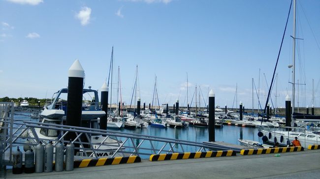 いったん、港にもどりました。