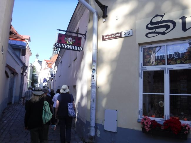 １０～２０ぐらいの観光グループが多いです