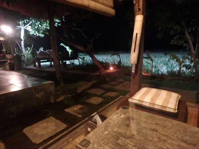 まあ、私は一人なので、小さなガゼボの中の<br /><br />日本人らしく、座布団と卓袱台みたいなテーブルにしてみました。