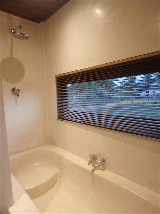 奥に、シャワー併設の大きなバスタブがあります。