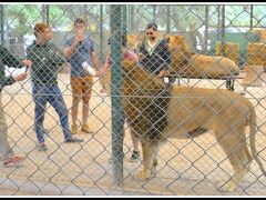 【世界最強（恐）の動物園：ブエノスアイレスのルハン動物園 Zoo Lujan】

これ、どう見ても.....