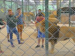 【世界最強（恐）の動物園：ブエノスアイレスのルハン動物園 Zoo Lujan】

やばい....でしょう....？