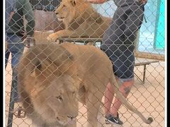 【世界最強（恐）の動物園：ブエノスアイレスのルハン動物園 Zoo Lujan】

な...なんじゃ、こりゃぁ～～～！？

.....一体、な....なんだ...この光景.....！