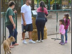 【世界最強（恐）の動物園：ブエノスアイレスのルハン動物園 Zoo Lujan】

大人達は、皆知らん顔してるのに、やはり目線は...子供同士.....