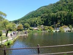 公園をぬけると、金鱗湖＾＾