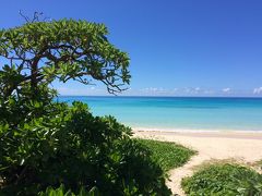 宿への帰り道にある渡口の浜にはやっぱり寄っちゃいます。
今日も素晴らしい。