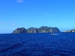 兄島の近くまで来ました
岩肌がワイルド～
これから，兄島周辺のポイントでシュノーケリングです

あ，肝心のドルフィン・スイムですが，この日は，人間と一緒に泳げる種類のミナミハンドウイルカがなぜか全然見つからなく，南島へも波が高くて上陸できませんでした
でもでもー，ジンベイと泳げたから，そんなことはどーでもよくなってしまいました！