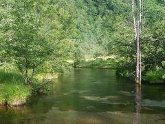 そして田代池
とても浅いが、底から湧水があるのだとか