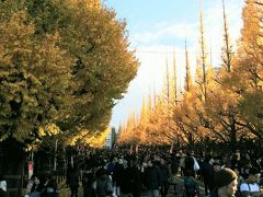 信濃町駅から10分位歩くとイチョウ祭り会場に到着します。