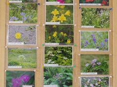 インフォメーションセンター「Hana」では、現在開花している花の情報などが得られる他、土産物店も多くあります。
ここでは、小分けにした昆布が安いので、配るには適当かと思います。
