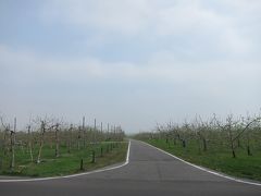 10:00
青森県弘前に戻ってきました。
りんご畑が続きます。