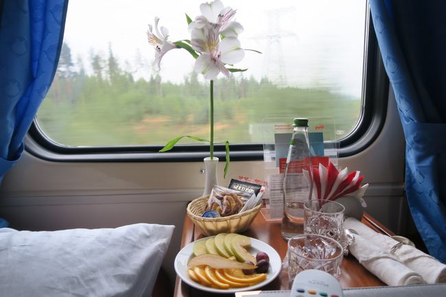 3日目の朝。モスクワ発夜行列車に乗ってペテロザヴォーツクへ。窓の外が薄明るくなって、外を眺めると林が延々と続いていました。これも旅情を誘います。