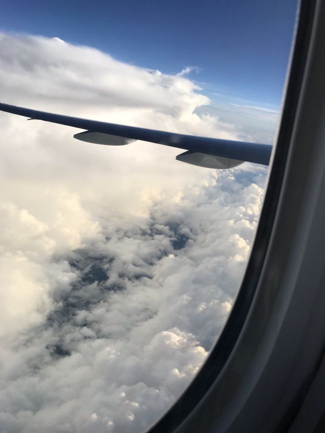 帰りはあっという間。<br />飛行時間も短いし、ちびっこも疲れて寝てしまい、寝た状態で席に座らせてシートベルトをして完璧。<br />(行きは抱っこで寝かせたままだったので、着陸の時に席に急いで座らせないといけなくてギャン泣き)<br /><br />8ヶ月ぶりの台湾だったけど、やっぱり美味しいものは変わらず美味しくて楽しかった♪<br /><br />また2ヶ月後くらいに行きたい♡