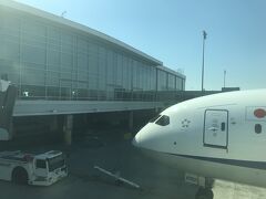 定刻より少々早くバンクーバー国際空港に到着。この日は天気も良く、半袖でも気持ち良く過ごせました。