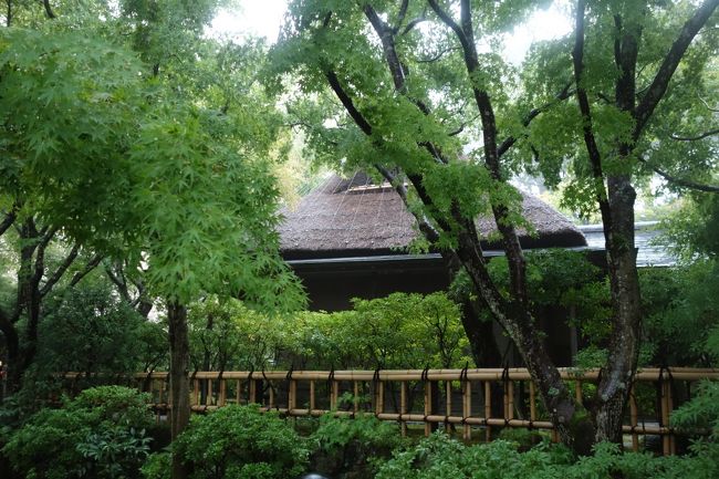 涼しくない水辺(これもシリーズ化?) 灼熱の三島VS雷雨の熱海〈MOA美術館ダイジェスト〉