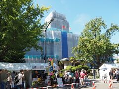 日本大通り　神奈川県庁本庁舎

日の丸とベトナム国旗が掲げられています。
現在、県庁本庁舎は、地震・津波対策工事が実施されているようです。