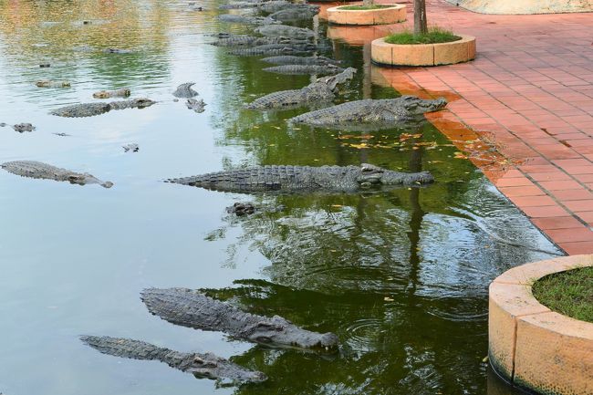 18年 夏休み 3世代でベトナム旅行 ホーチミン編 スイティエン公園 メコン川クルーズから帰国 ホーチミン ベトナム の旅行記 ブログ By Jelvaさん フォートラベル 18年 夏休み 3世代でベトナム旅行 ホーチミン編 スイティエン公園 メコン川クルーズから帰国 ホーチミン ベトナム の旅行記 ブログ By Jelvaさん フォートラベル