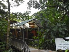 JAGARUNDI LODGE
朝の散歩
