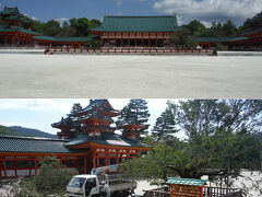 　平安神宮は、建物は大丈夫そうだったけど、左近の桜とかいう木の枝がバッキリ折れてしまったようで、後始末をしていましたよ。