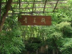 市バスで嵐山方面へ移動。
祇王寺に到着。

嵐山から少し離れただけで、人もまばらで静けさを感じます。