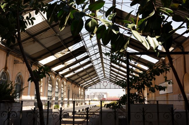 船と電車の乗り継ぎが悪く<br />1時間待ちです。あたりにはお店がありません。<br />暑いしひたすら待ちます