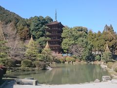 池と五重塔
この景色見ると瑠璃光寺に来たんだなと思えます&#128516;